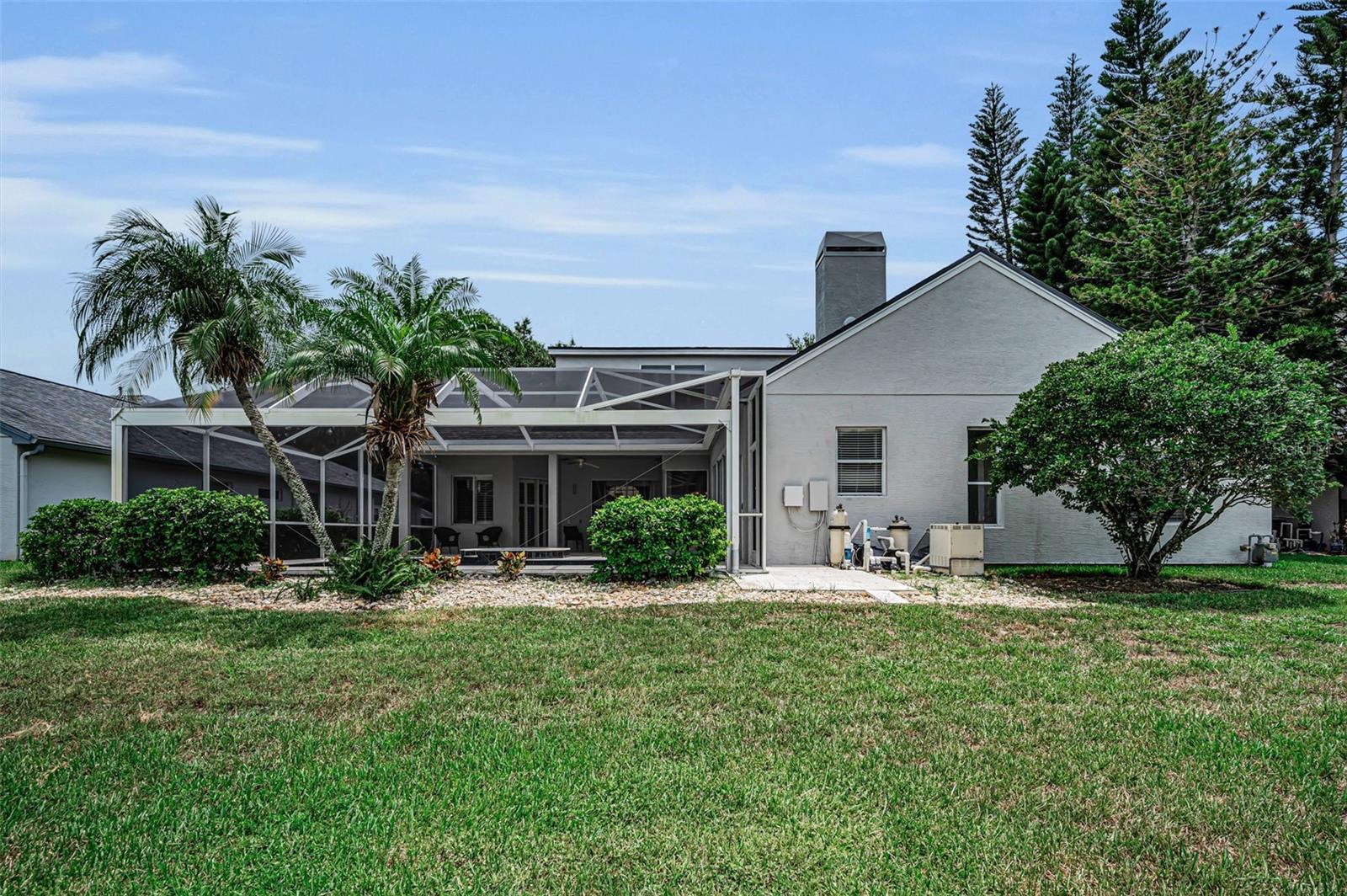 4084 LIGUSTRUM DR, PALM HARBOR, FL — photo 39