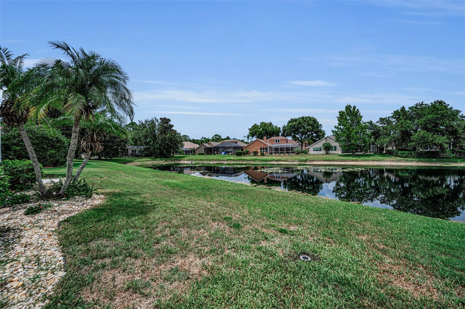 4084 LIGUSTRUM DR, PALM HARBOR, FL — photo 40