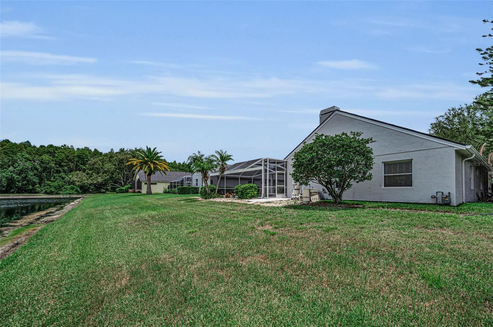 4084 LIGUSTRUM DR, PALM HARBOR, FL — photo 41