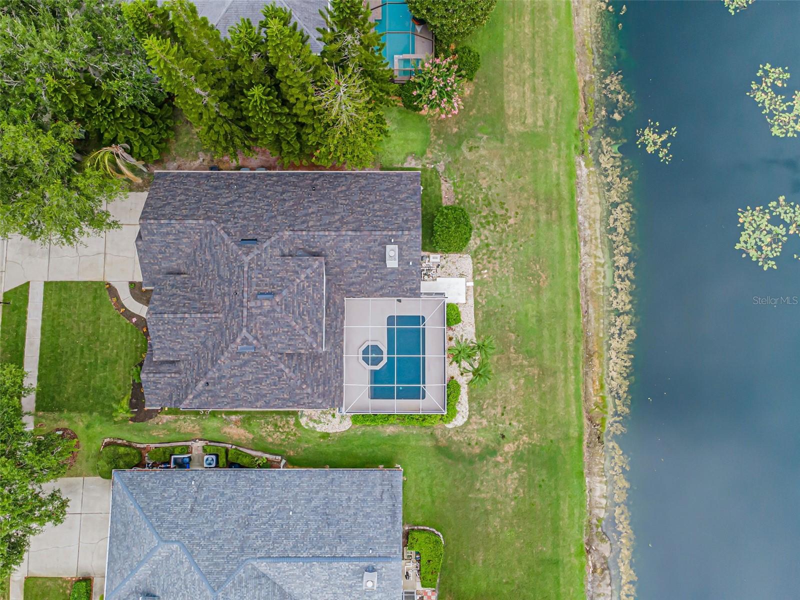 4084 LIGUSTRUM DR, PALM HARBOR, FL — photo 74