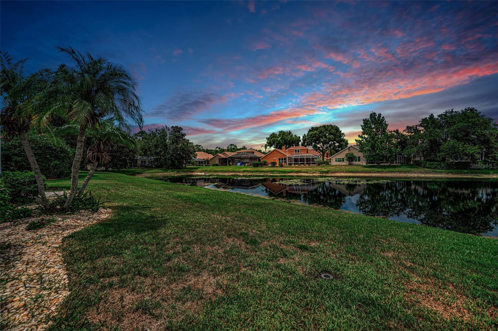 4084 LIGUSTRUM DR, PALM HARBOR, FL — photo 81