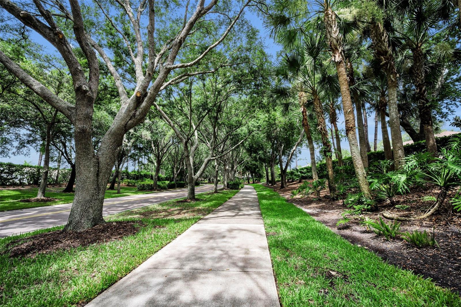 4084 LIGUSTRUM DR, PALM HARBOR, FL — photo 83
