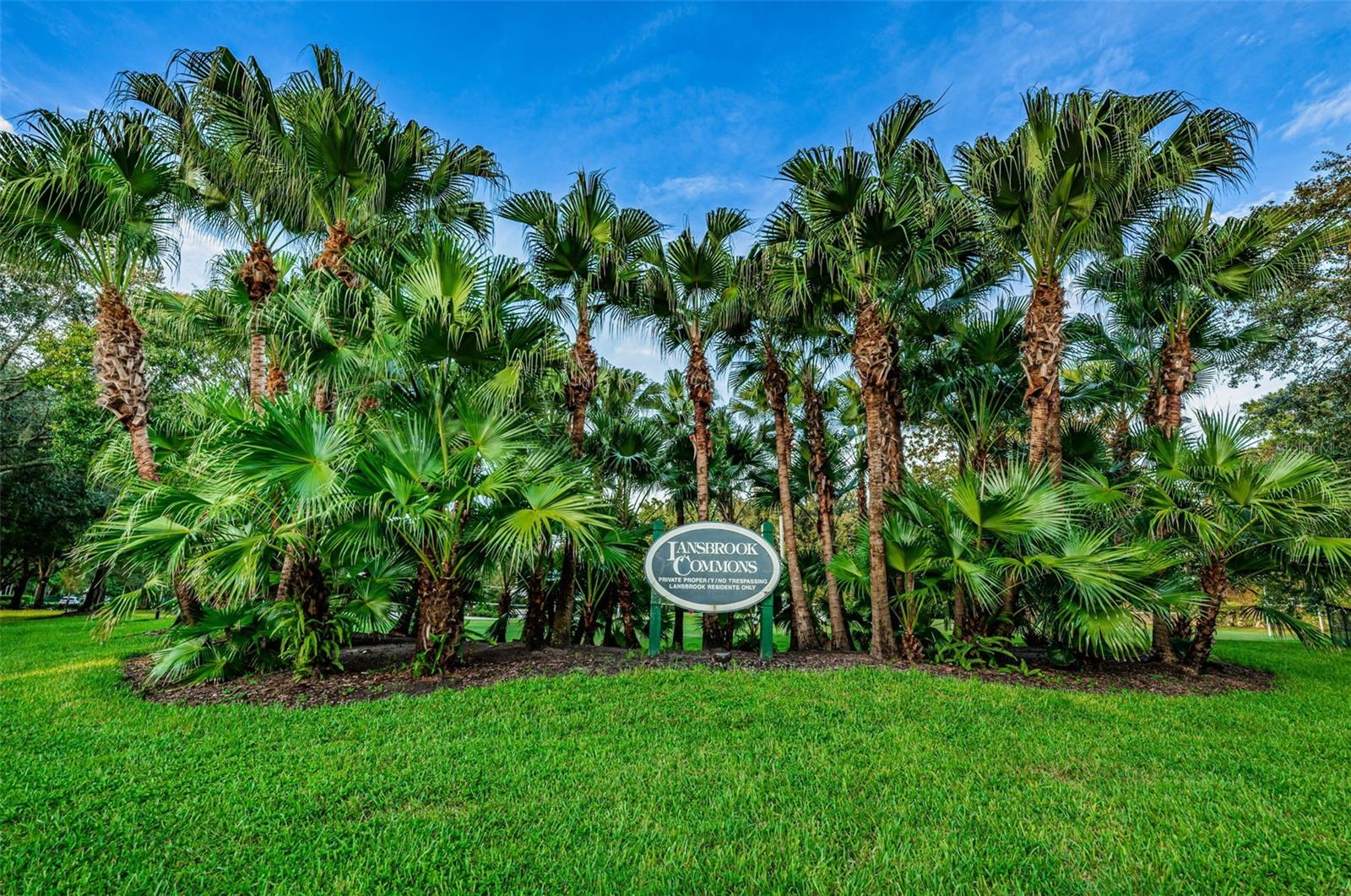 4084 LIGUSTRUM DR, PALM HARBOR, FL — photo 85