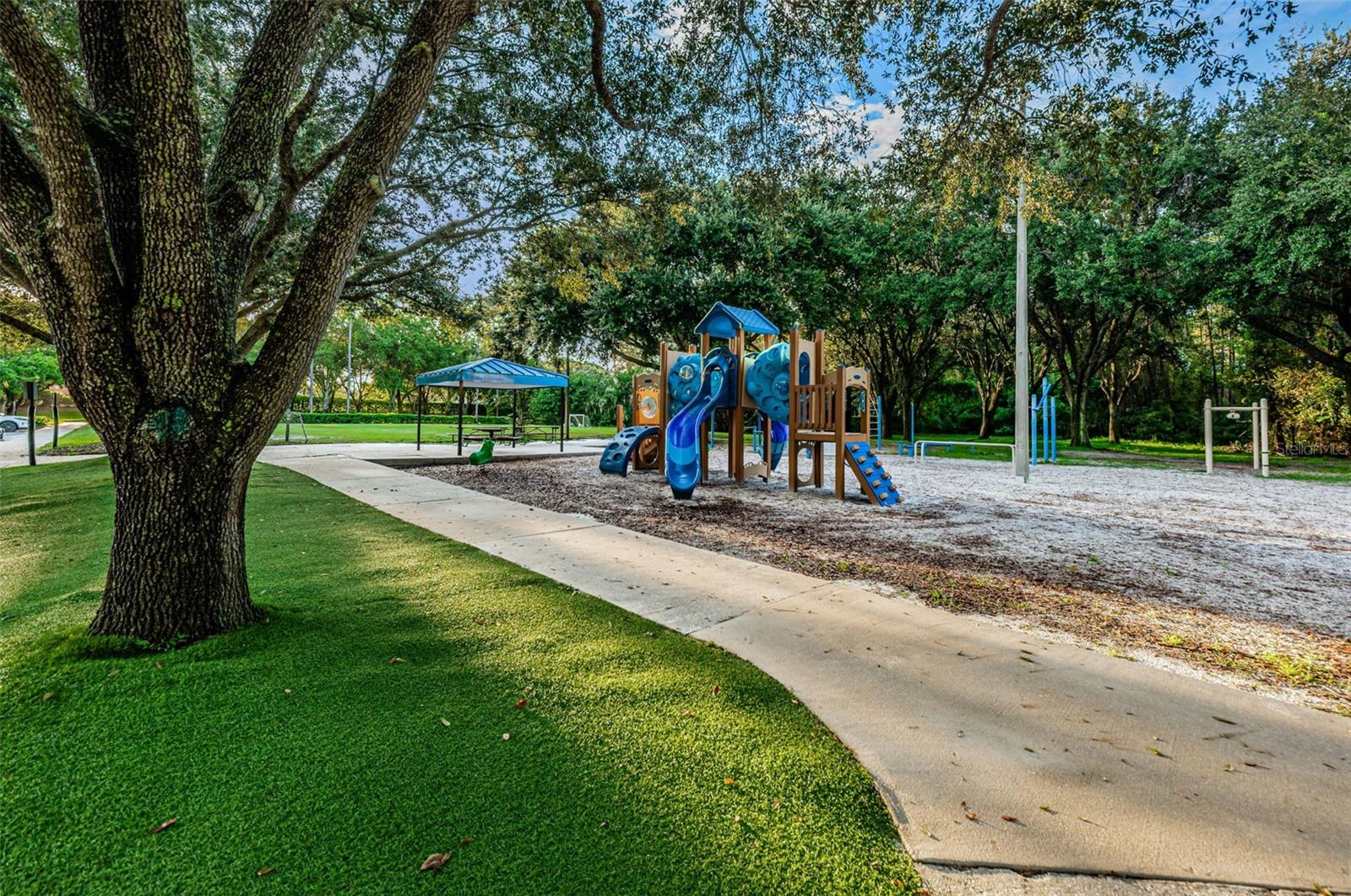 4084 LIGUSTRUM DR, PALM HARBOR, FL — photo 86