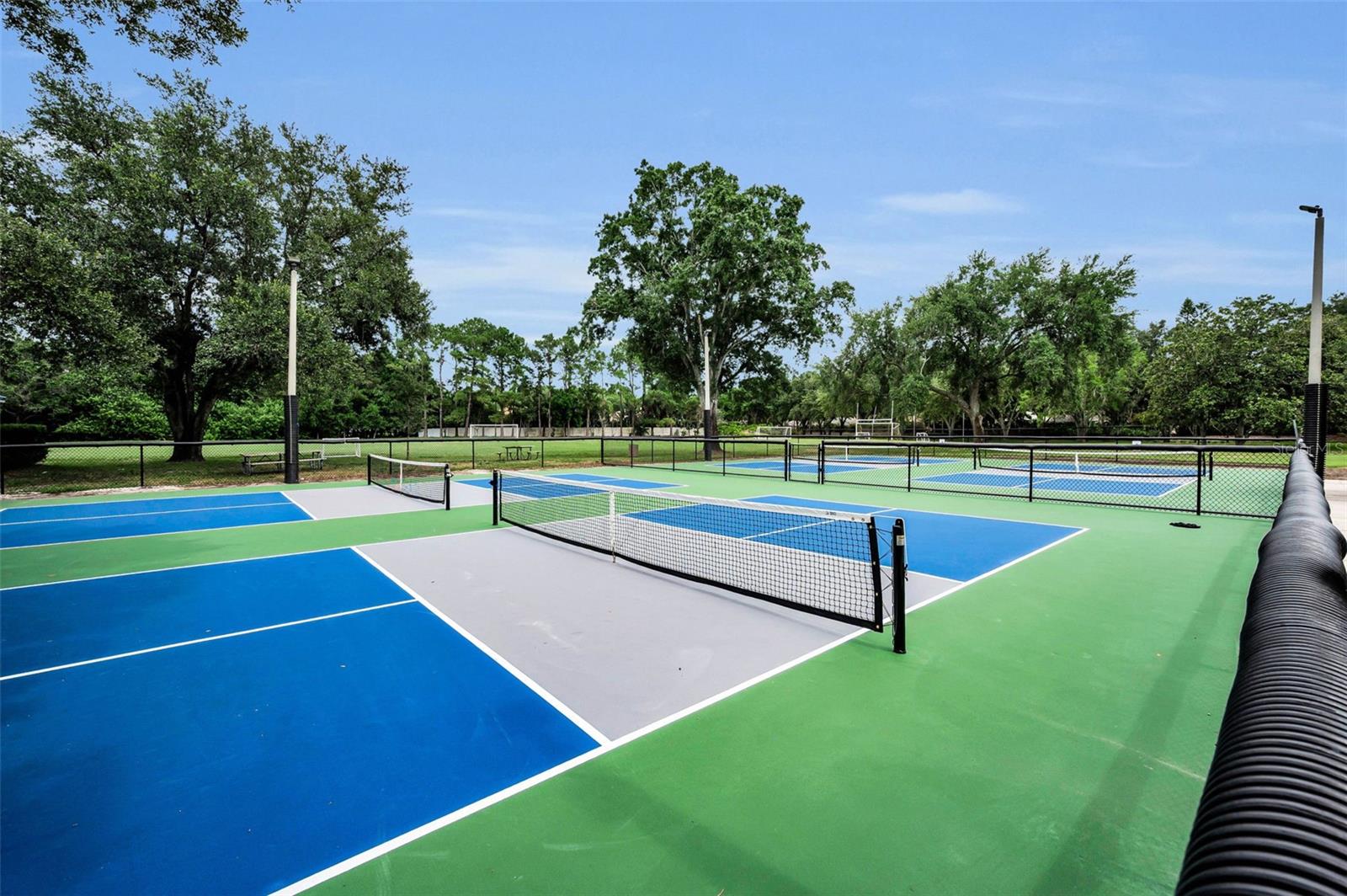 4084 LIGUSTRUM DR, PALM HARBOR, FL — photo 88