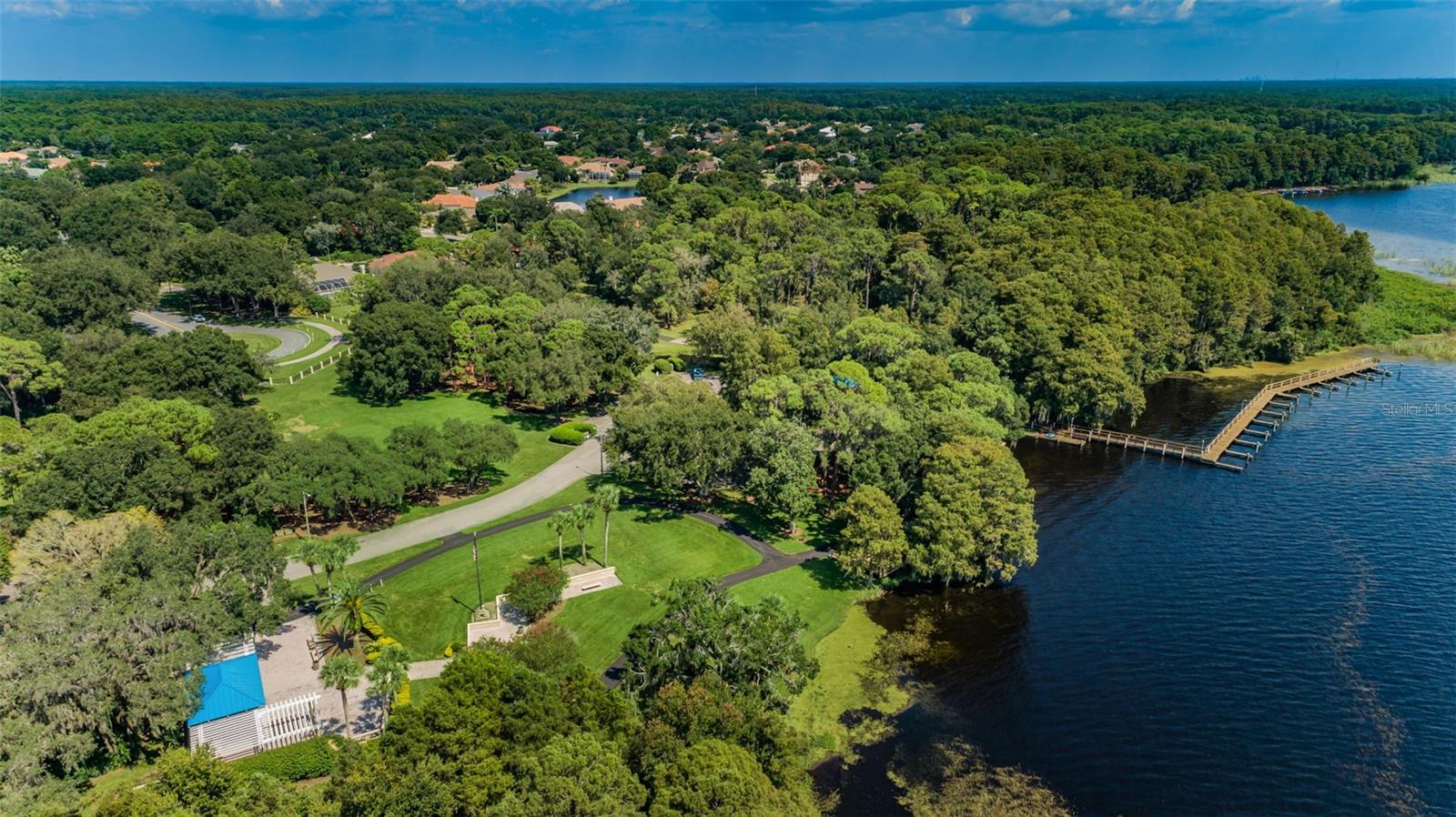 4084 LIGUSTRUM DR, PALM HARBOR, FL — photo 94