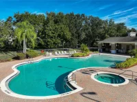 2916 MAJESTIC ISLE DR — photo 49
