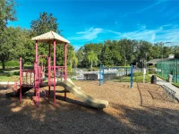 2916 MAJESTIC ISLE DR — photo 51