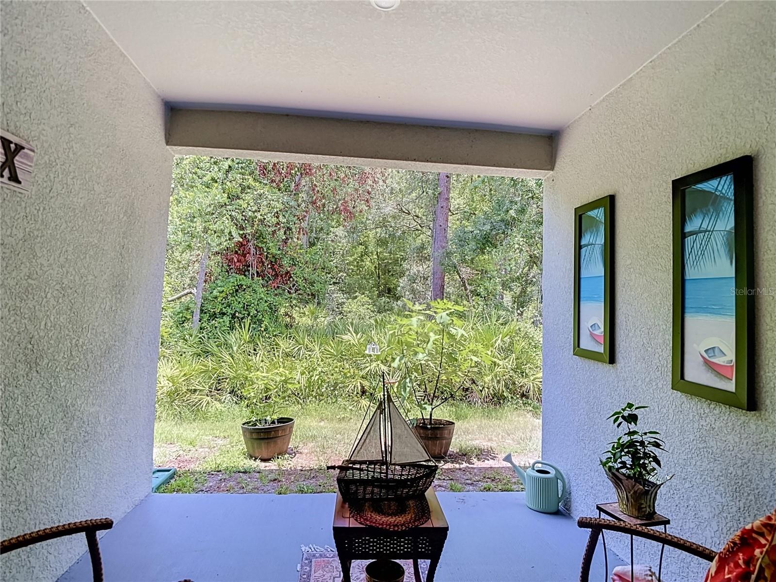 12000 GRIZZLY LN, NEW PORT RICHEY, FL — photo 44