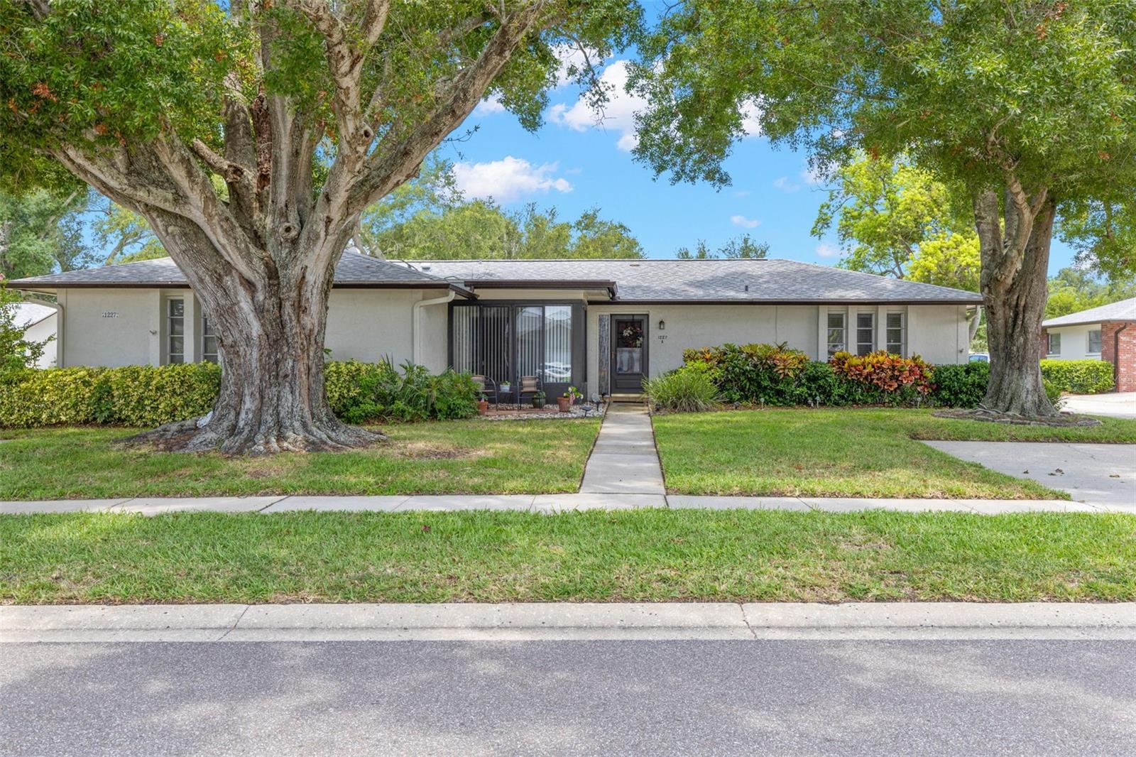 1227 QUEEN ANNE DR #A, PALM HARBOR, FL — photo 2
