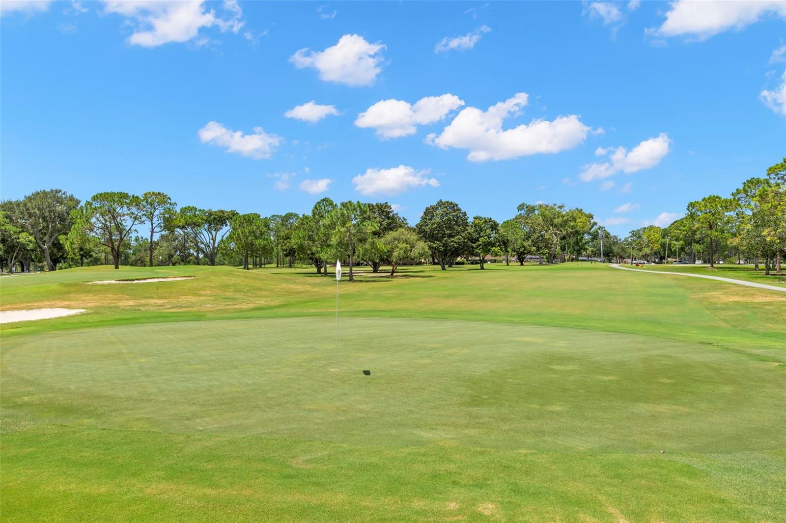 1227 QUEEN ANNE DR #A, PALM HARBOR, FL — photo 30