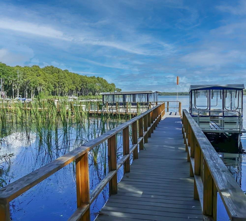 1227 QUEEN ANNE DR #A, PALM HARBOR, FL — photo 33