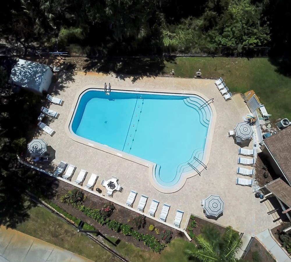 1227 QUEEN ANNE DR #A, PALM HARBOR, FL — photo 35