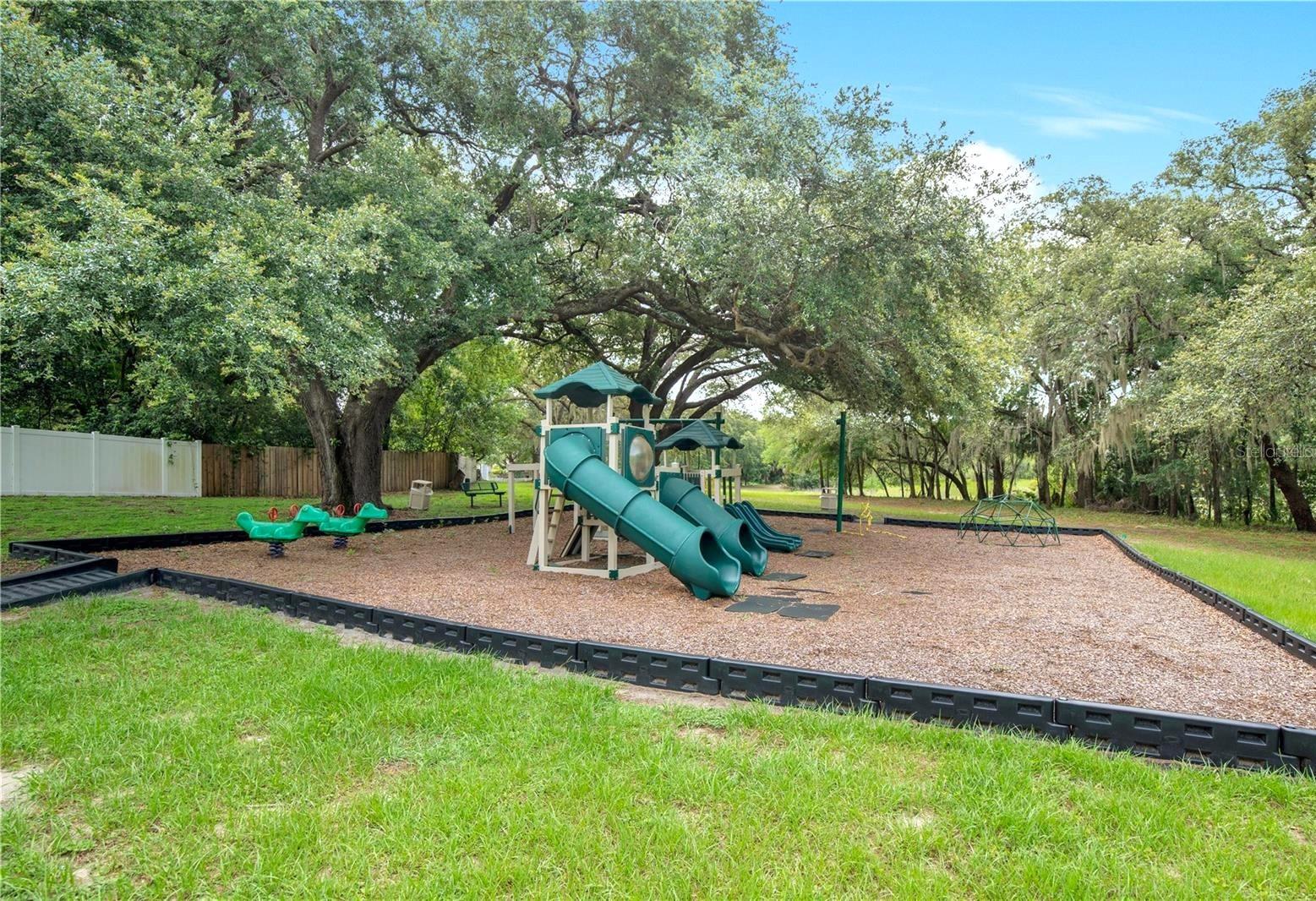 3179 FOXWOOD DR, APOPKA, FL — photo 63