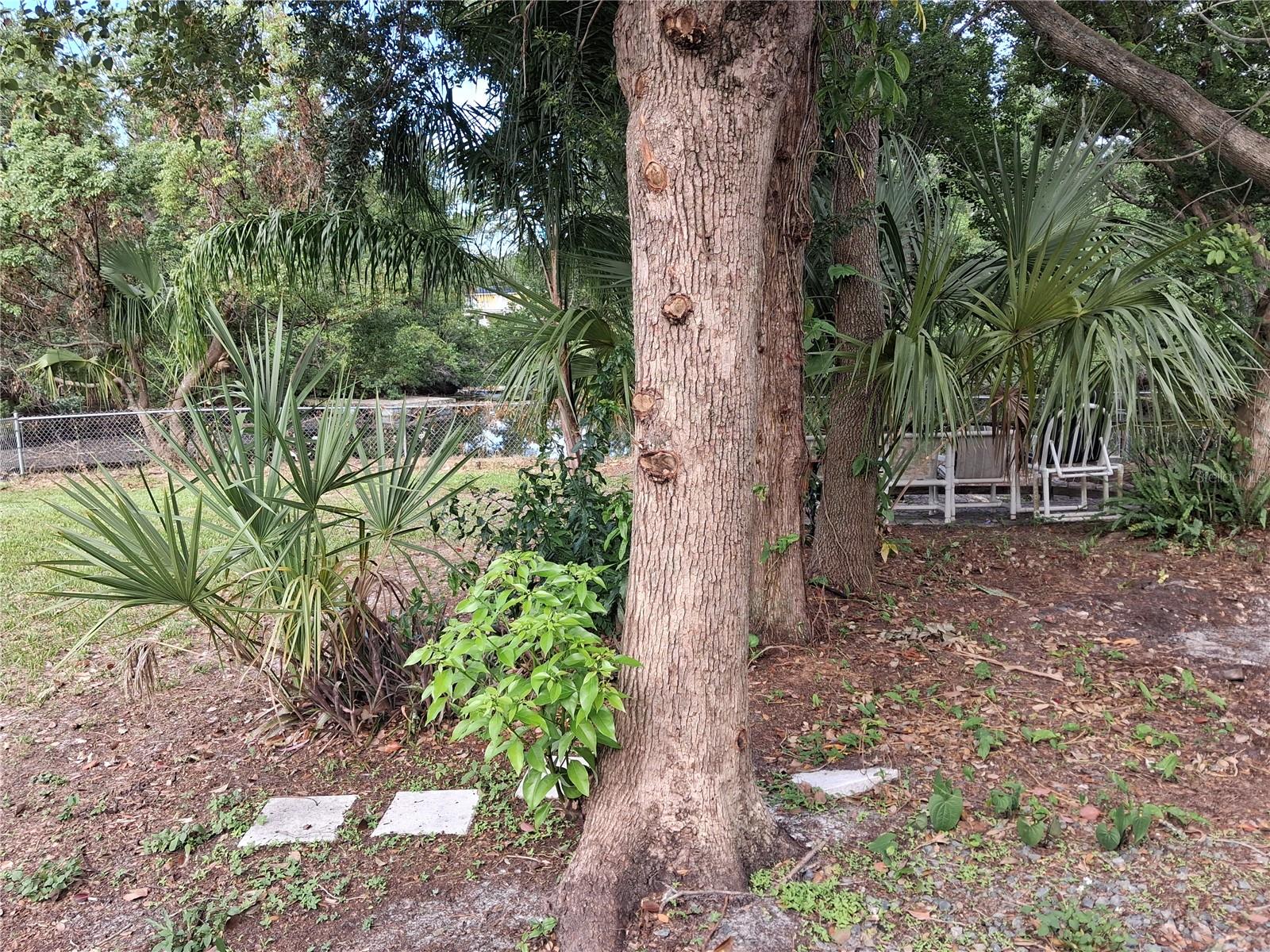 6934 OLDGATE CIR, NEW PORT RICHEY, FL — photo 12