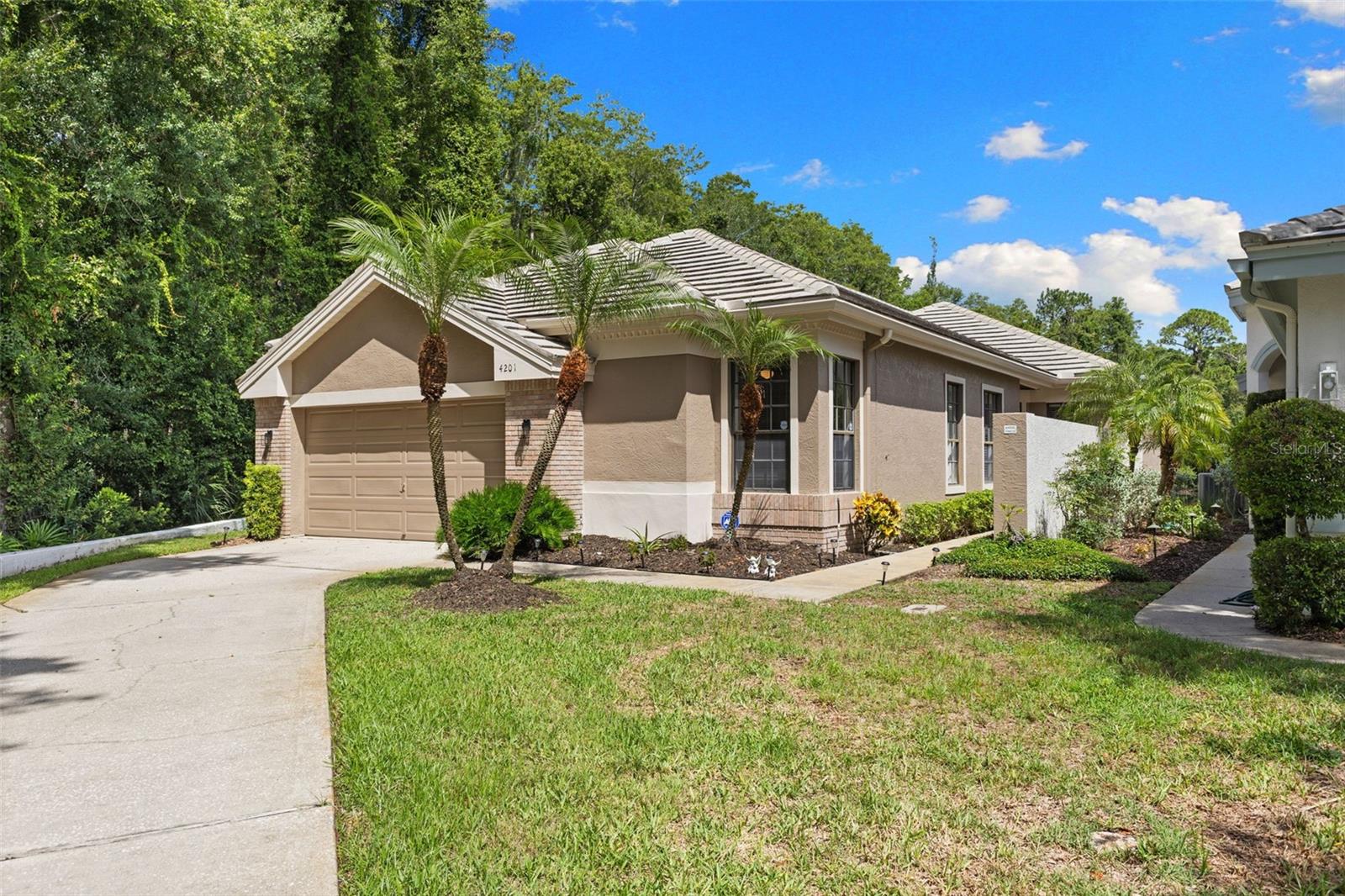 4201 WATERSCAPE DR, PALM HARBOR, FL — photo 6