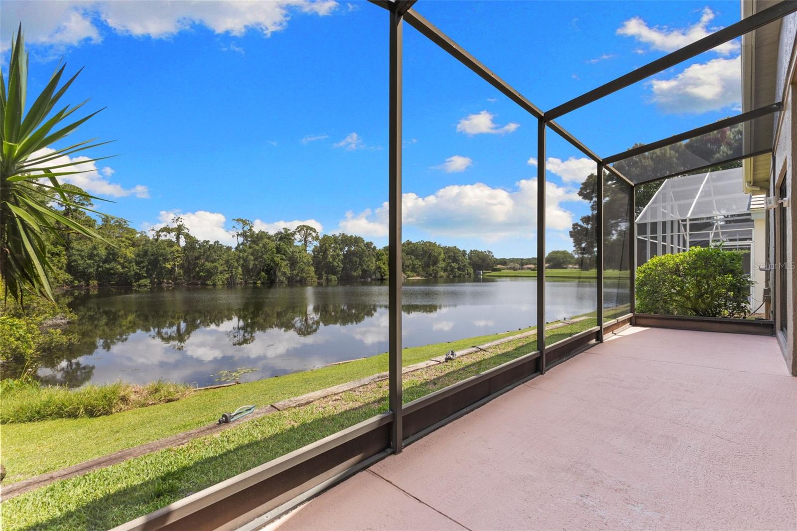 4201 WATERSCAPE DR, PALM HARBOR, FL — photo 5