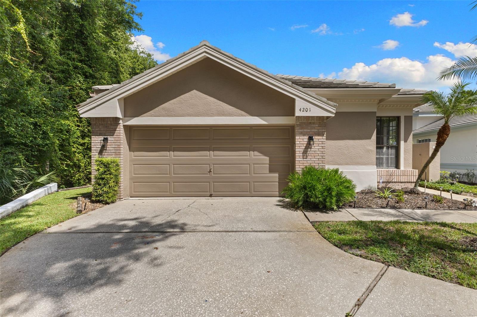 4201 WATERSCAPE DR, PALM HARBOR, FL — photo 7