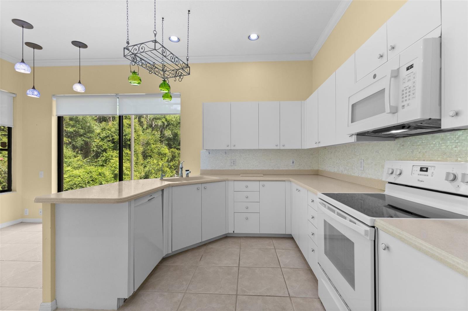 4201 WATERSCAPE DR, PALM HARBOR, FL — photo 18