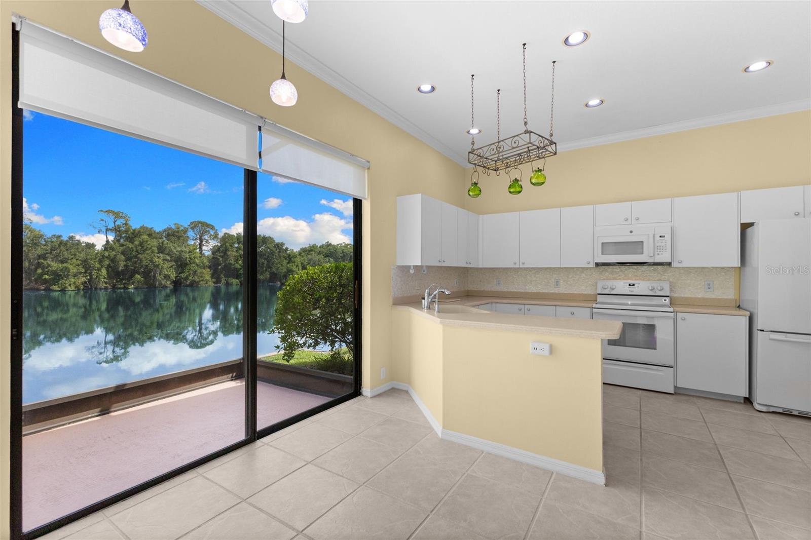 4201 WATERSCAPE DR, PALM HARBOR, FL — photo 21