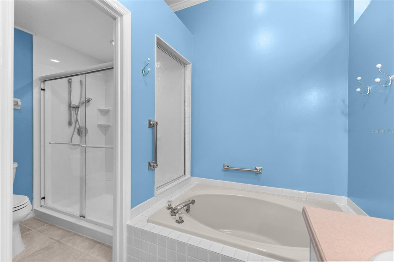 4201 WATERSCAPE DR, PALM HARBOR, FL — photo 26