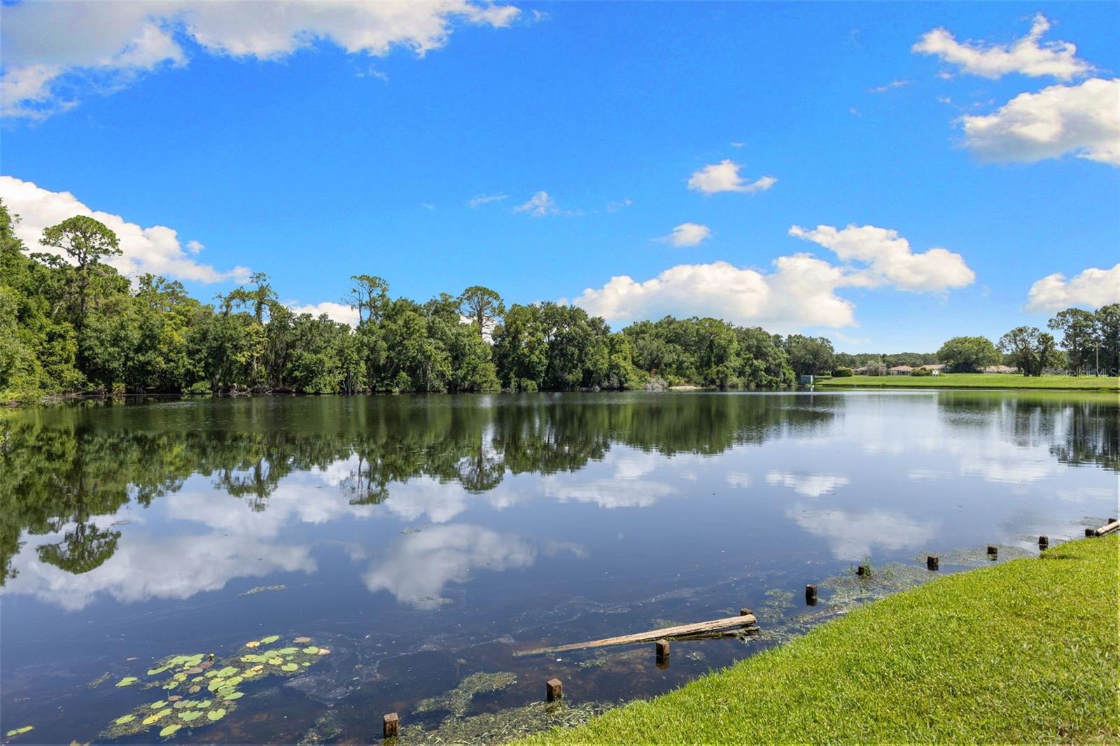 4201 WATERSCAPE DR, PALM HARBOR, FL — photo 39