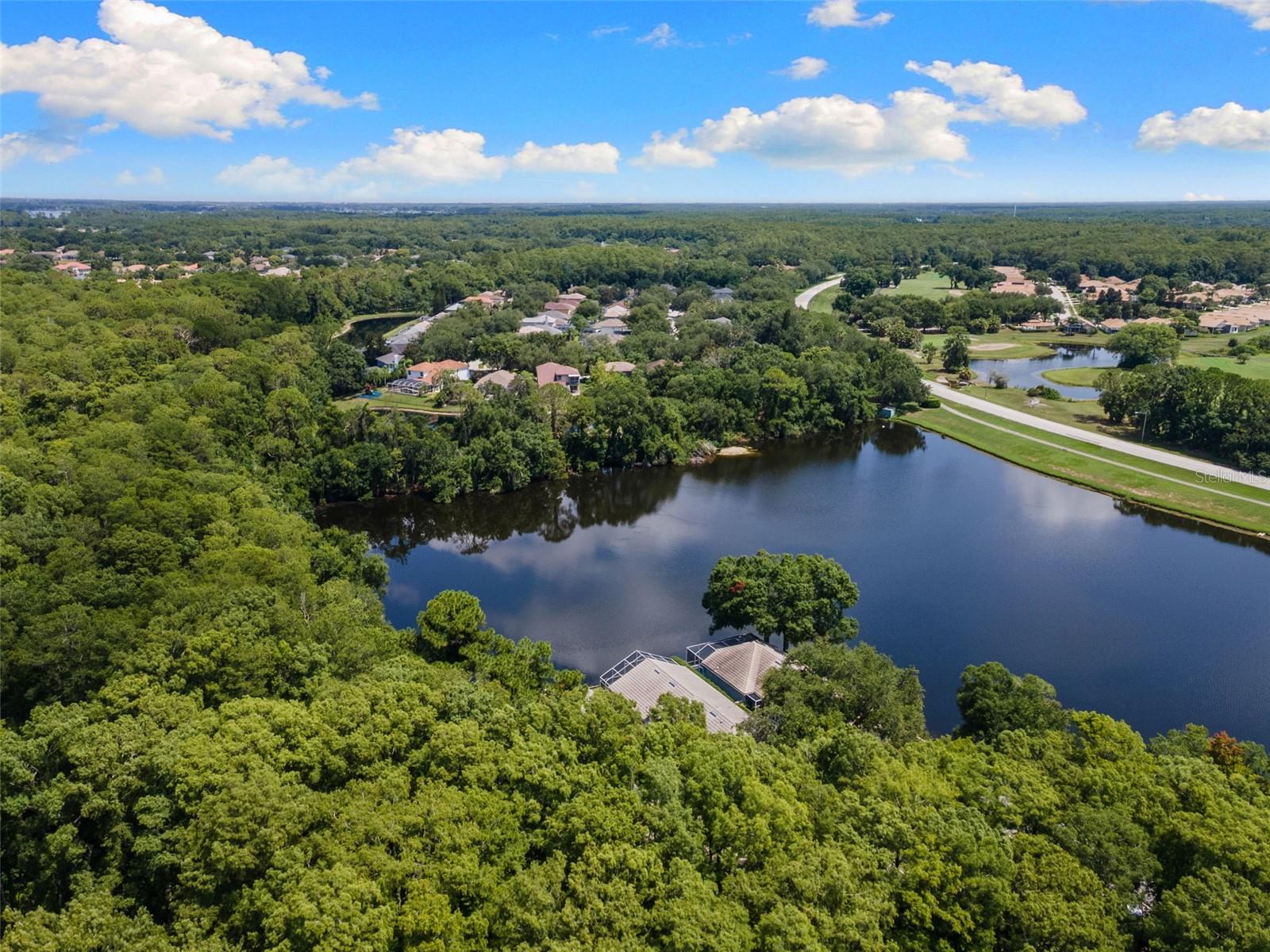 4201 WATERSCAPE DR, PALM HARBOR, FL — photo 40