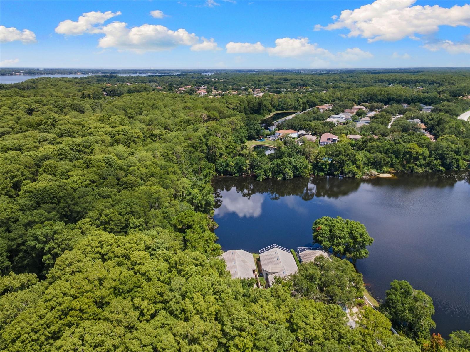 4201 WATERSCAPE DR, PALM HARBOR, FL — photo 41