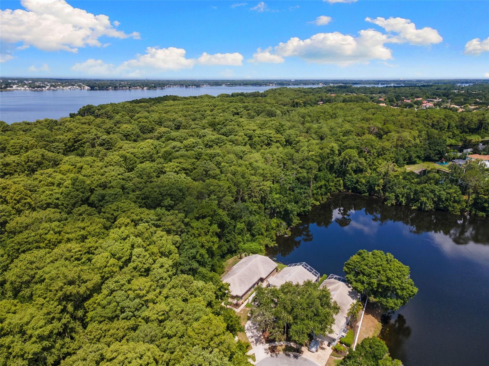 4201 WATERSCAPE DR, PALM HARBOR, FL — photo 42