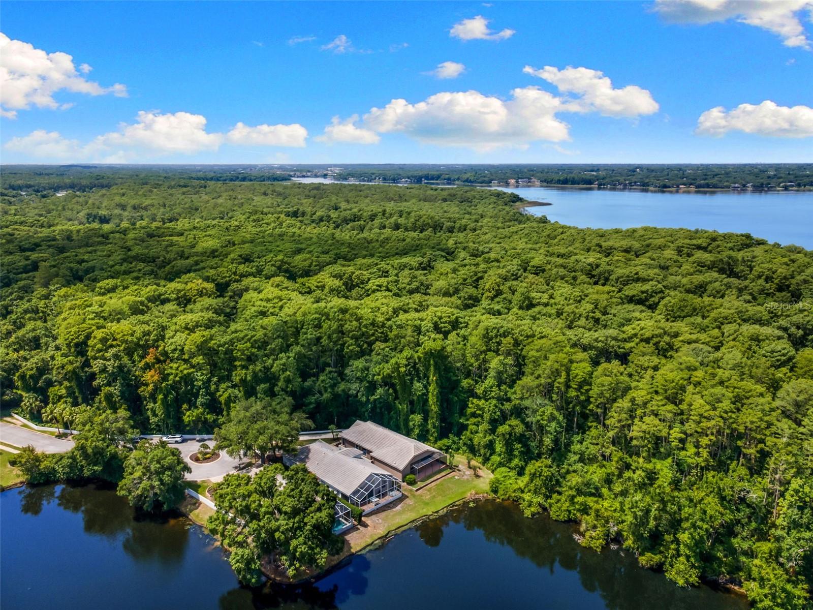 4201 WATERSCAPE DR, PALM HARBOR, FL — photo 43