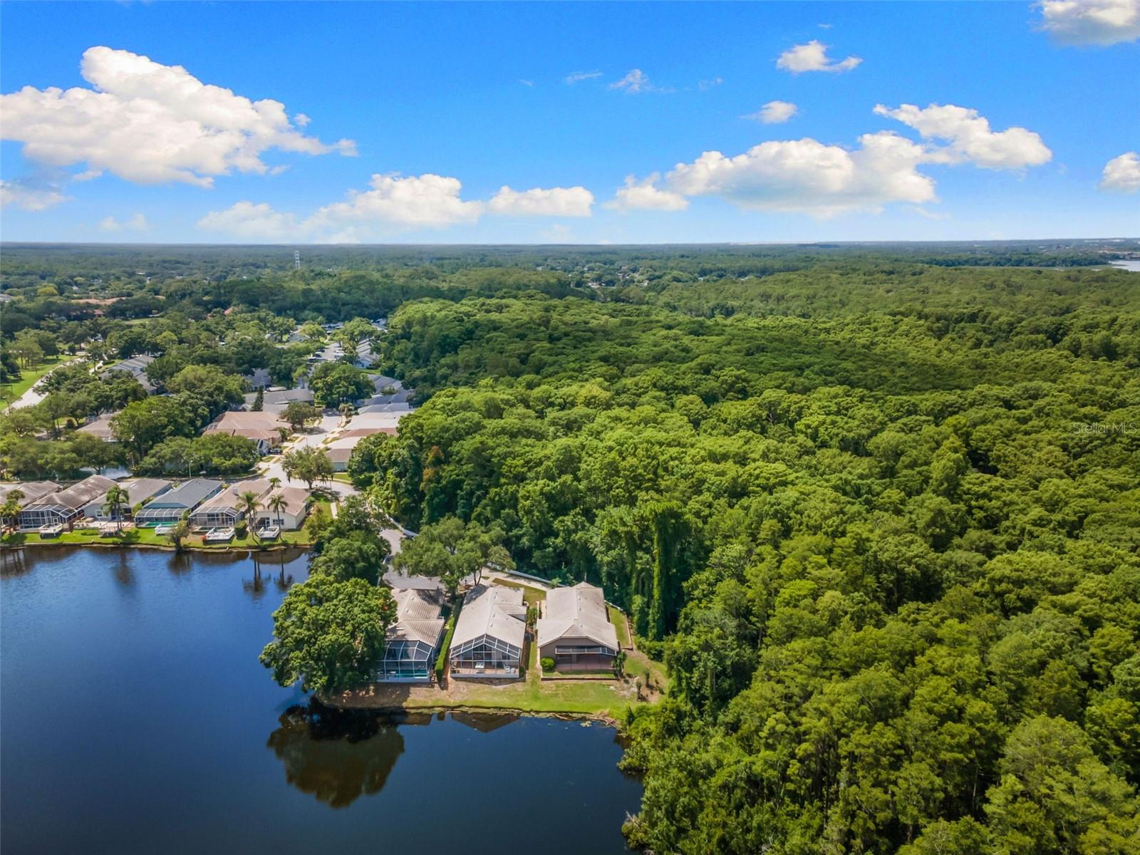 4201 WATERSCAPE DR, PALM HARBOR, FL — photo 44