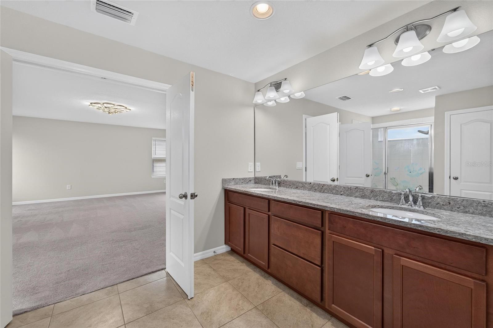 11628 LAKE LUCAYA DR, RIVERVIEW, FL — photo 18