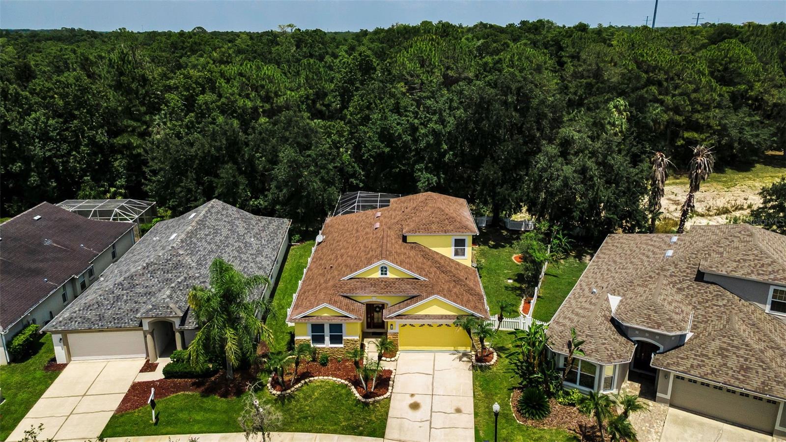 3052 SUNWATCH DR, WESLEY CHAPEL, FL — photo 52