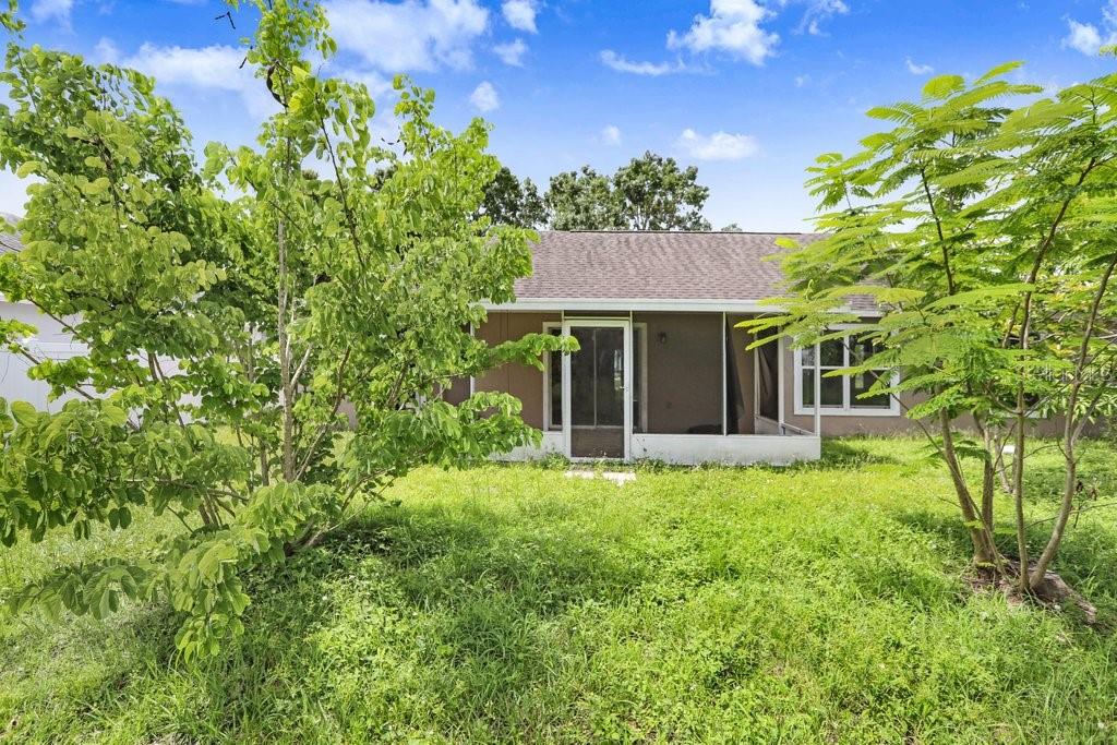 169 BIRMINGHAM DR, KISSIMMEE, FL — photo 23