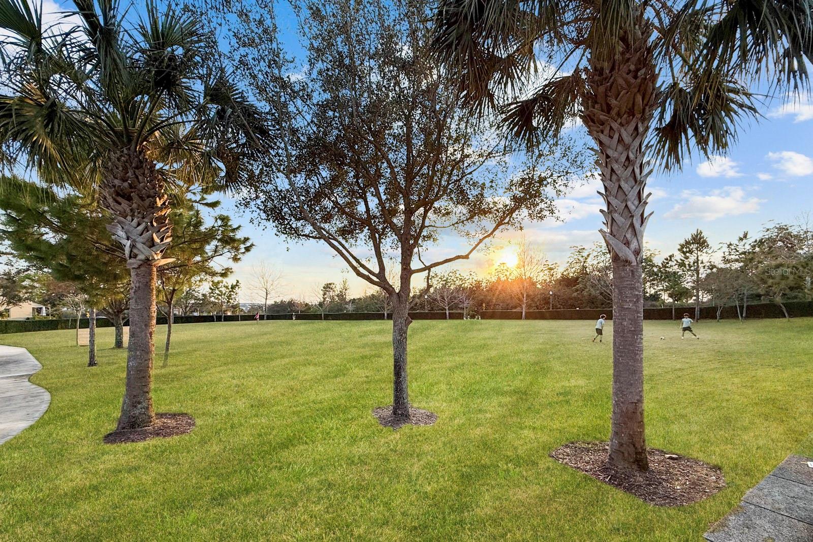 9306 MIRA VALLE LN, WINTER GARDEN, FL — photo 55