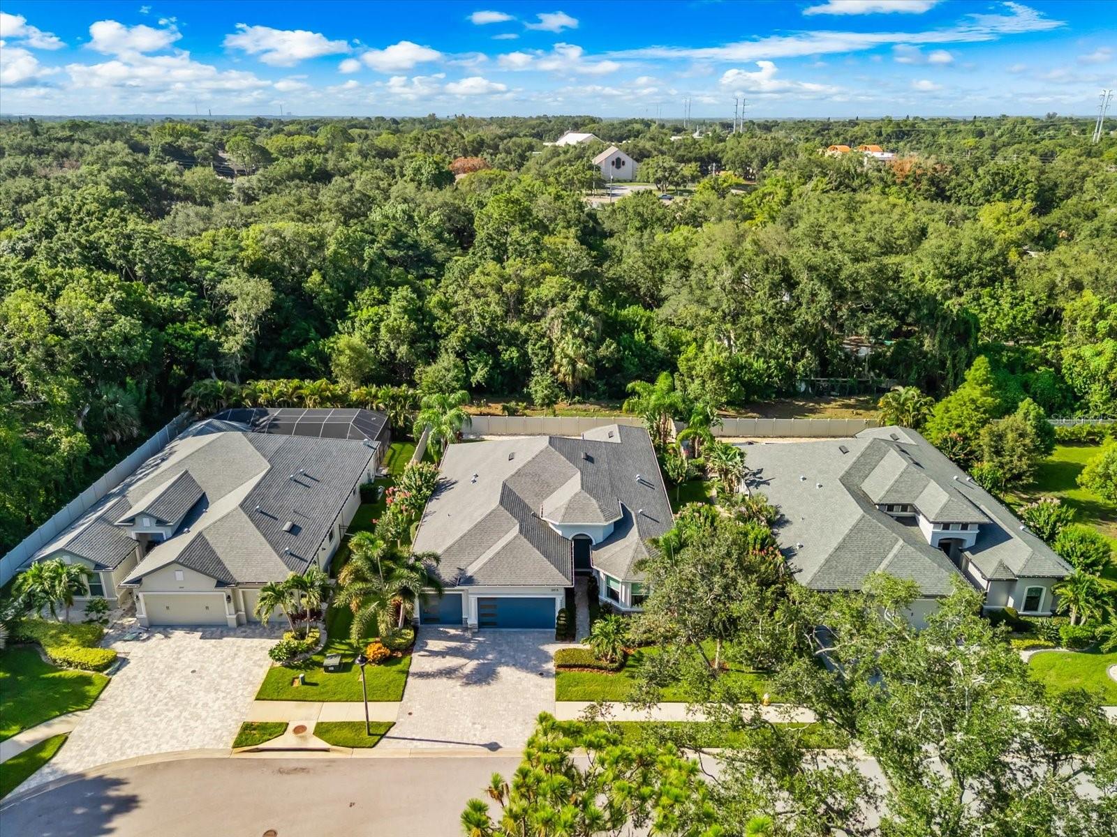 2013 BEE BRANCH CT, PALM HARBOR, FL — photo 57
