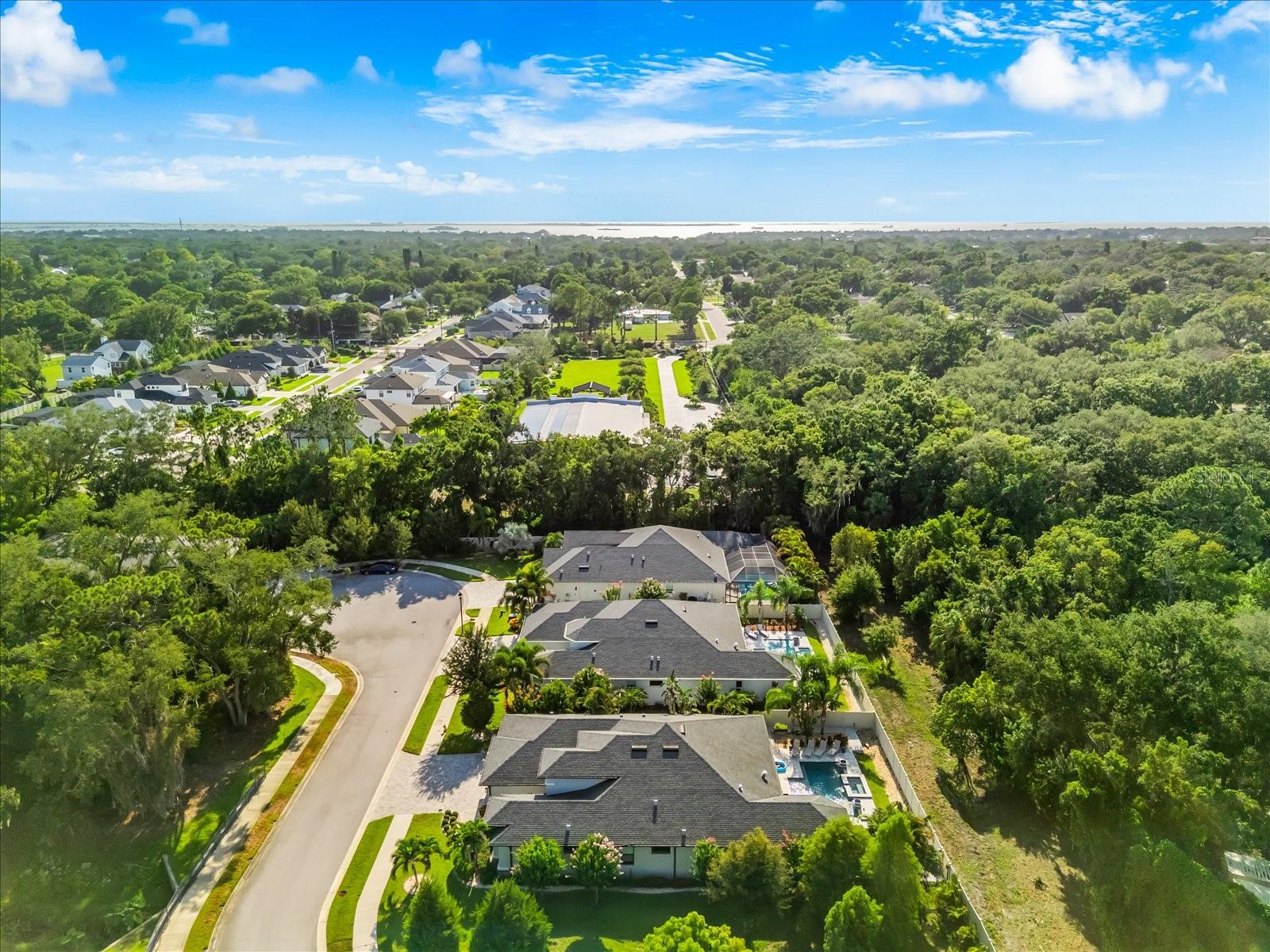 2013 BEE BRANCH CT, PALM HARBOR, FL — photo 58