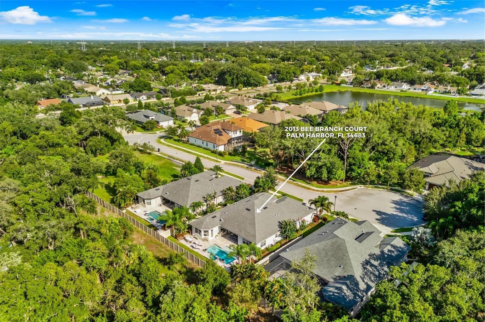 2013 BEE BRANCH CT, PALM HARBOR, FL — photo 59