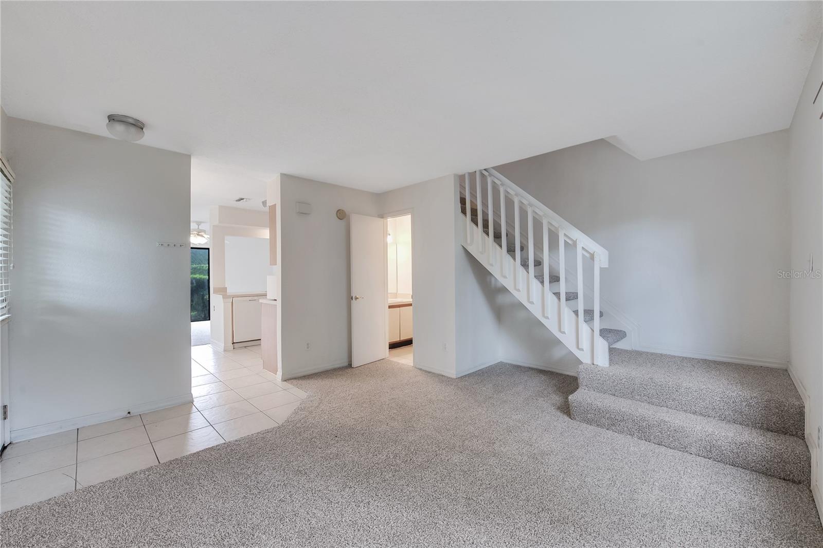 16547 LAKE BRIGADOON CIR, TAMPA, FL — photo 6