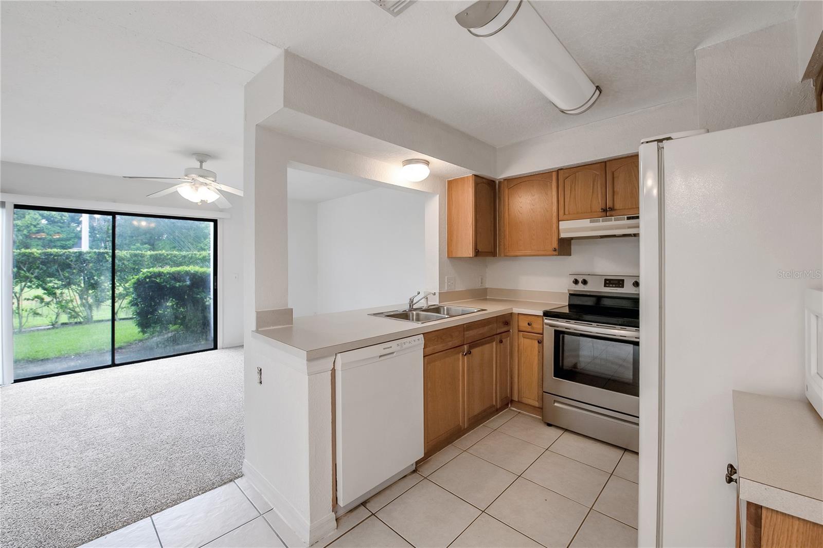16547 LAKE BRIGADOON CIR, TAMPA, FL — photo 10