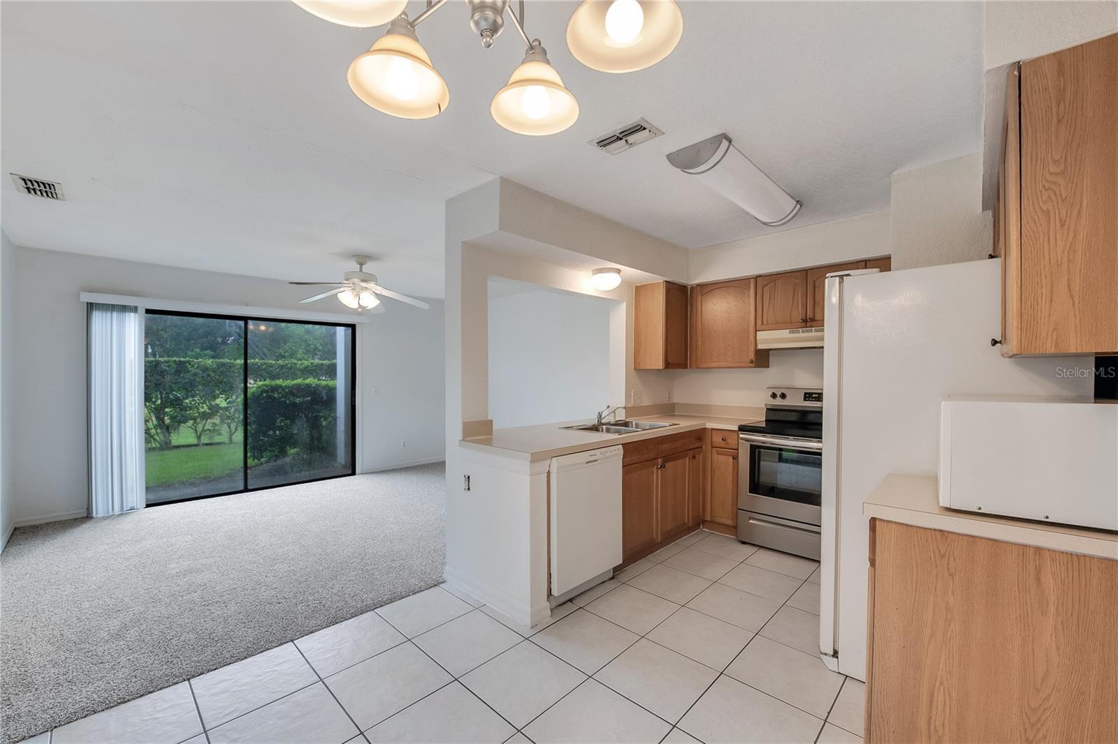 16547 LAKE BRIGADOON CIR, TAMPA, FL — photo 11