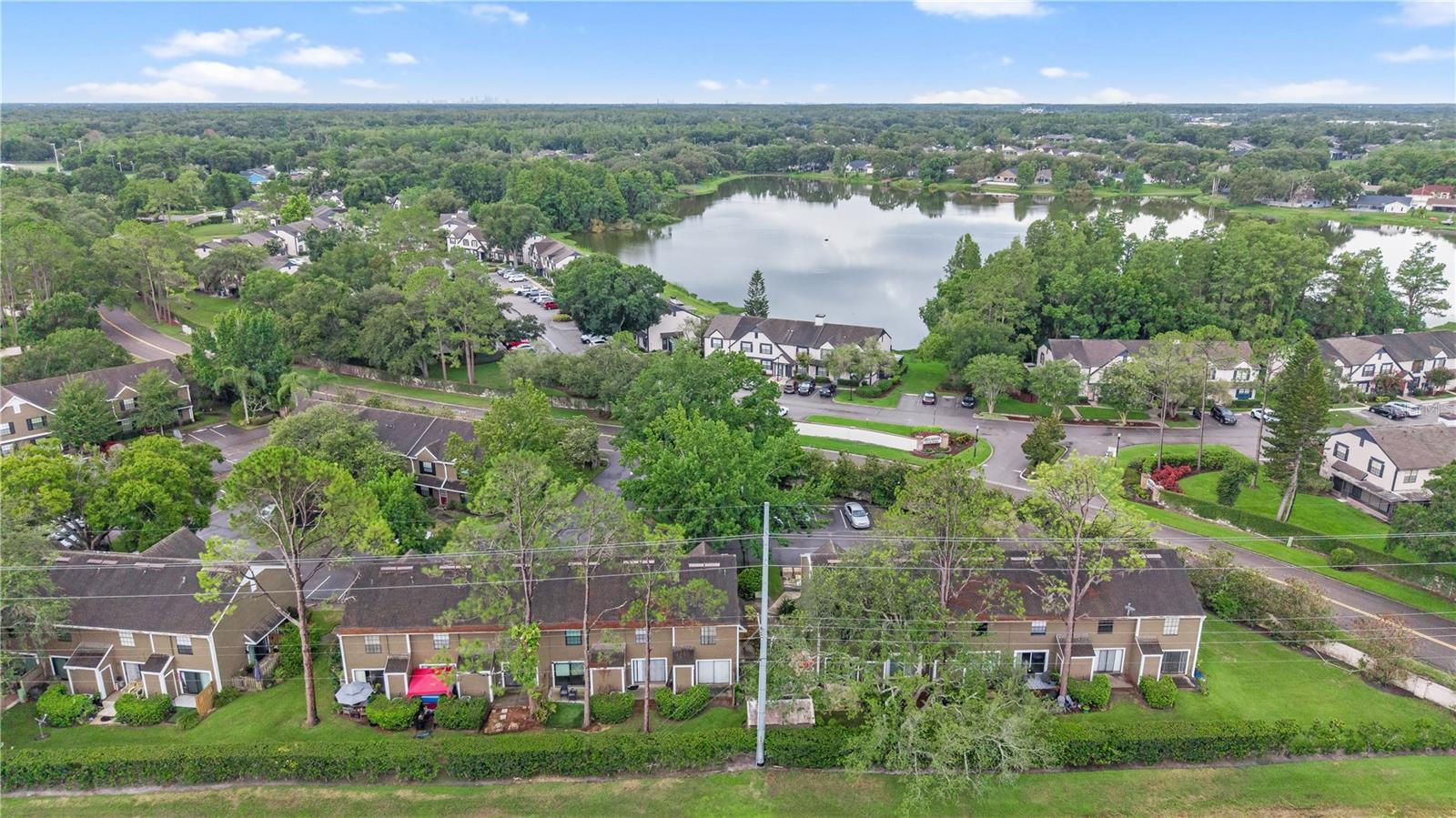 16547 LAKE BRIGADOON CIR, TAMPA, FL — photo 33