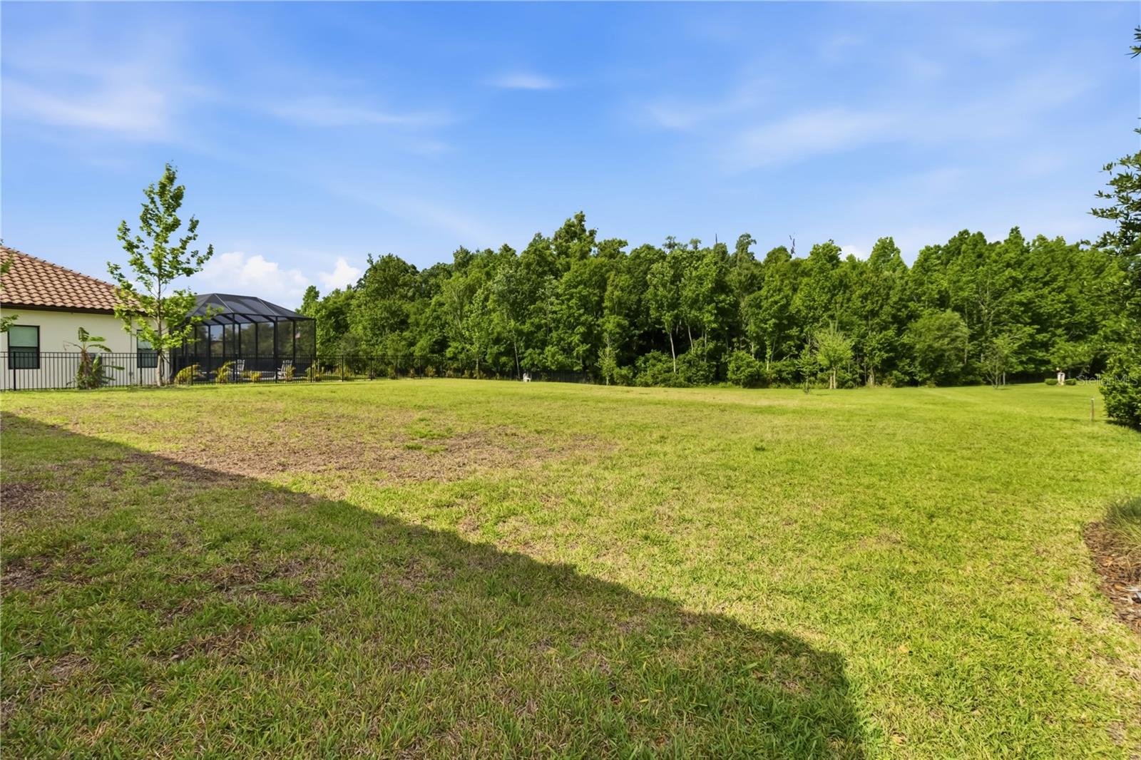 3018 CORDOBA RANCH BLVD, LUTZ, FL — photo 50