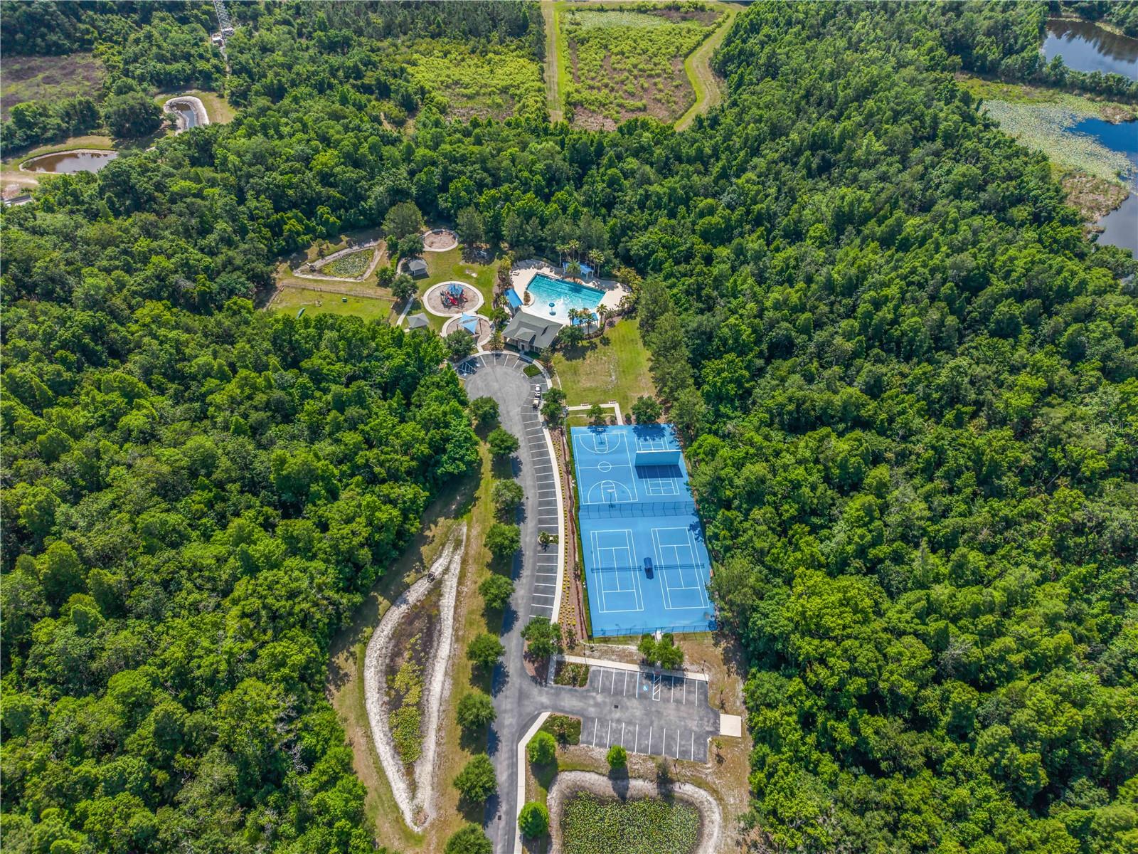 3018 CORDOBA RANCH BLVD, LUTZ, FL — photo 54