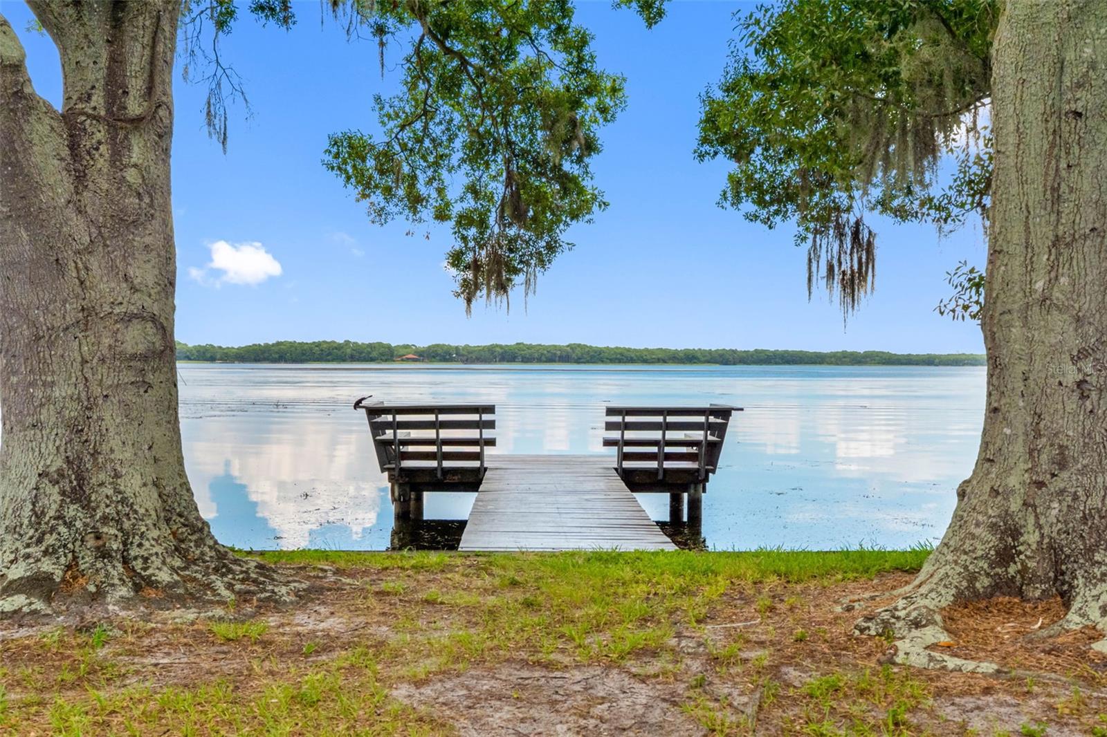 72 LAKE SHORE DR, PALM HARBOR, FL — photo 35