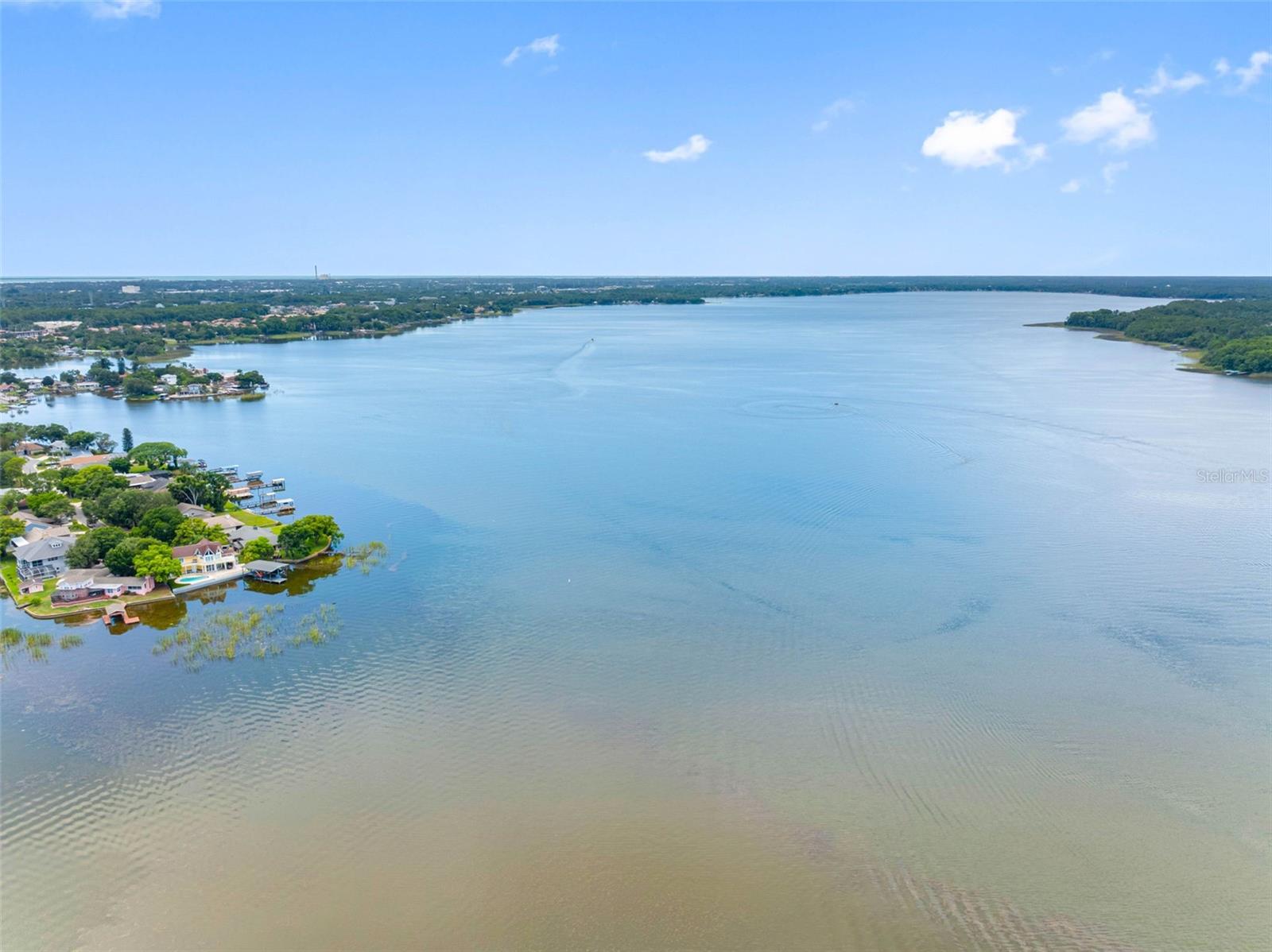 72 LAKE SHORE DR, PALM HARBOR, FL — photo 42