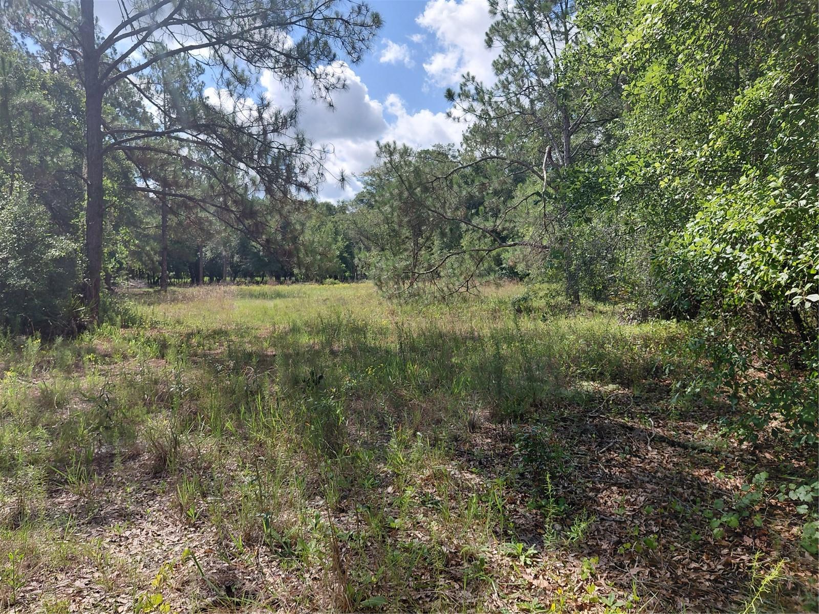 PINON DR, WEBSTER, FL