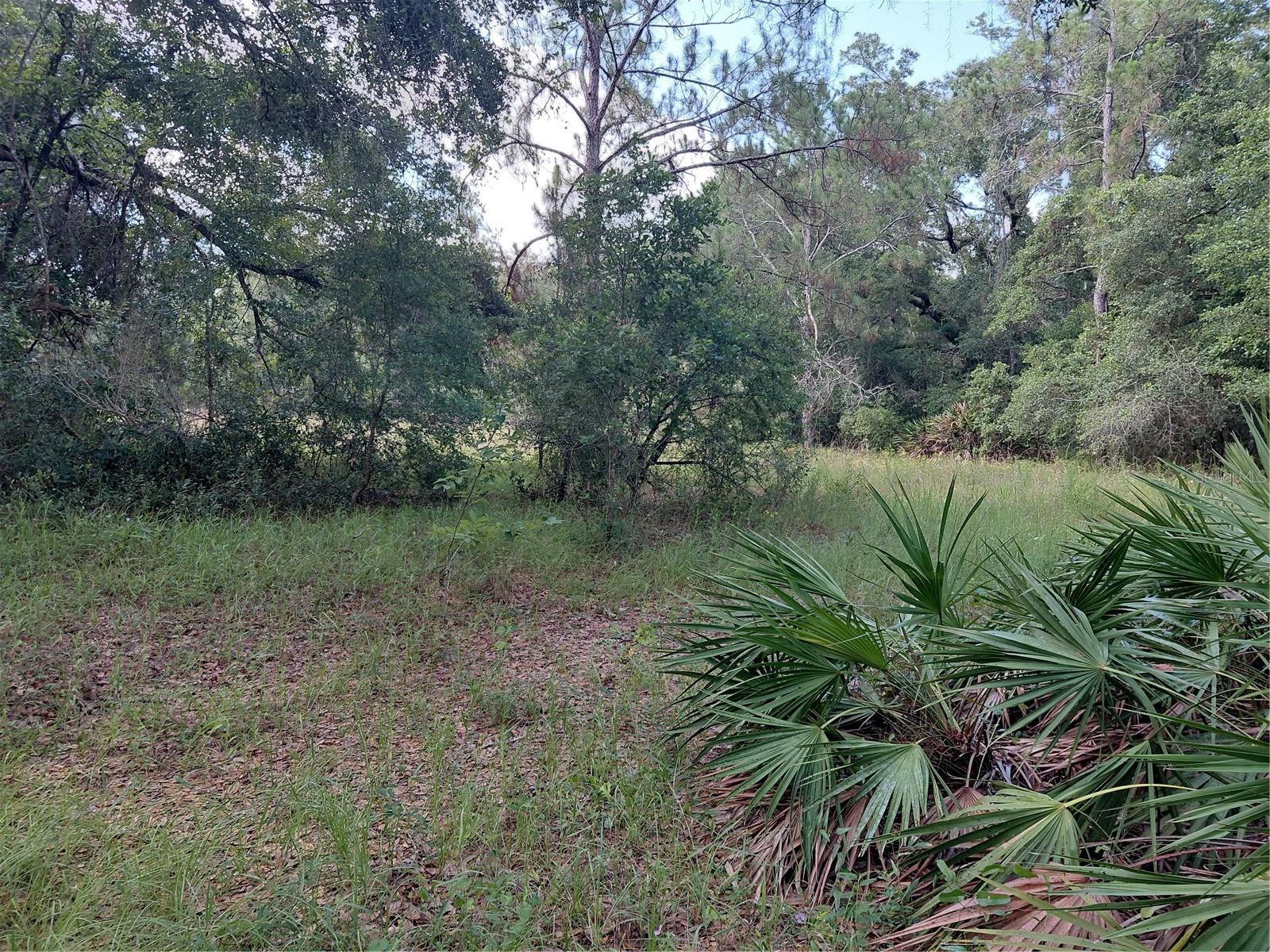 PINON DR, WEBSTER, FL — photo 7