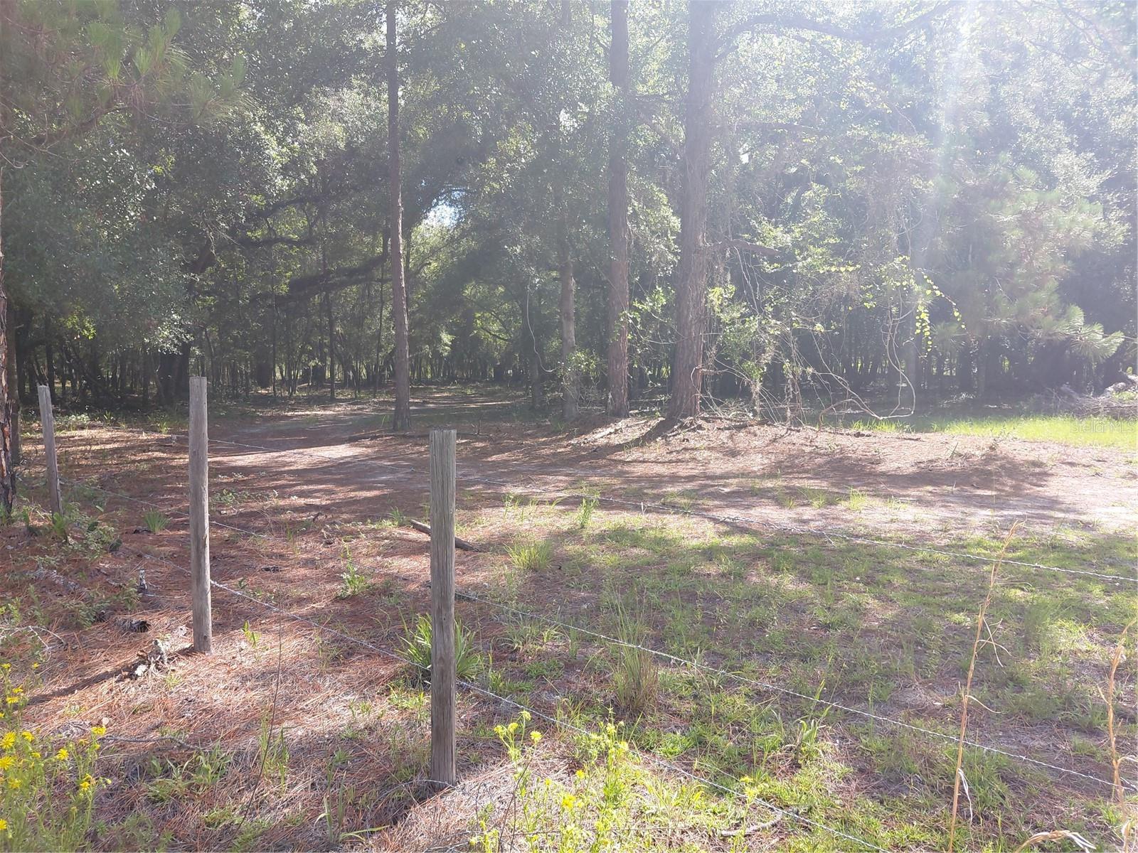 PINON DR, WEBSTER, FL — photo 14
