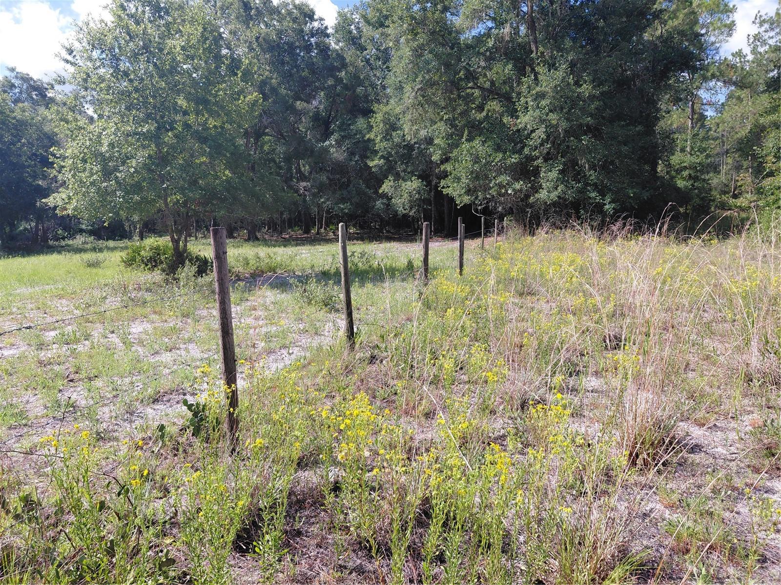 PINON DR, WEBSTER, FL — photo 16